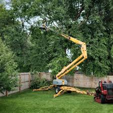 Best Arborist Consultation Services  in Sun Valley, PA